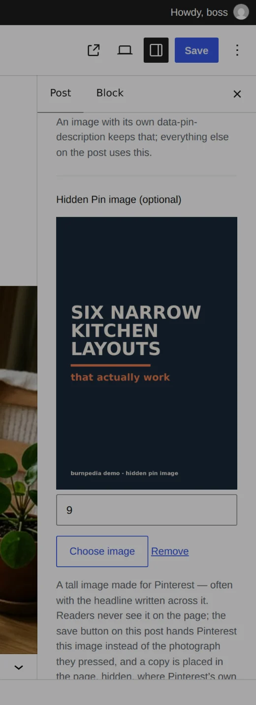 A tall hidden graphic on a post, which the save button hands to Pinterest instead of the photograph.